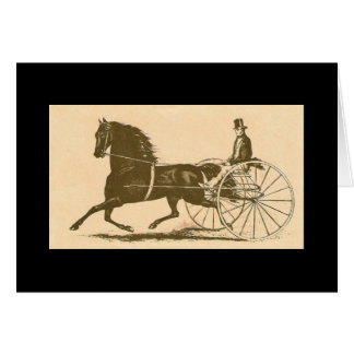 Morgan Americana Cards