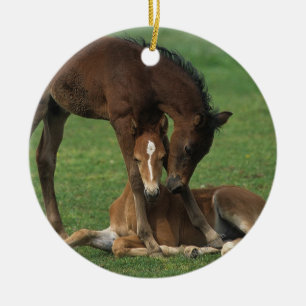 Morgan Foals Playing Ceramic Ornament