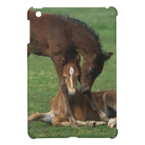 Morgan Foals Playing iPad Mini Cover