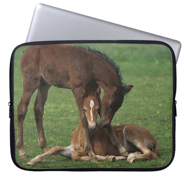 Morgan Foals Playing Laptop Sleeve (Front)