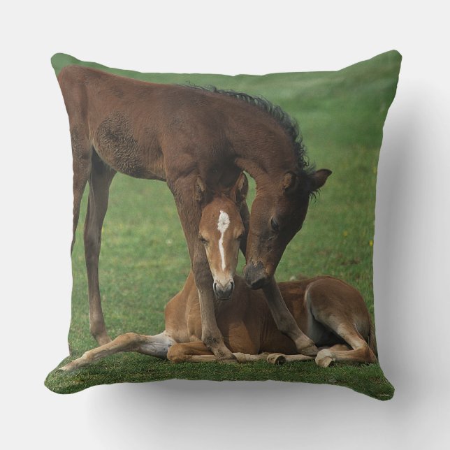 Morgan Foals Playing Throw Pillow (Front)