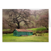 Morgan Hill green barn (Front Horizontal)