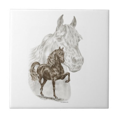 Morgan Horse Art Ceramic Tile