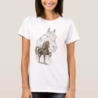 Morgan Horse Art