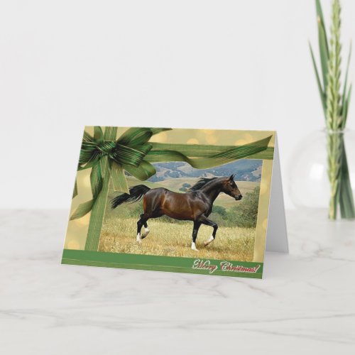 Morgan Horse Blank Christmas Card