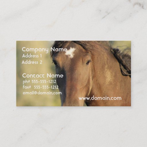 Customizable Morgan Horse Business Cards