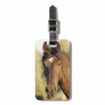 Morgan Horse Luggage Tag