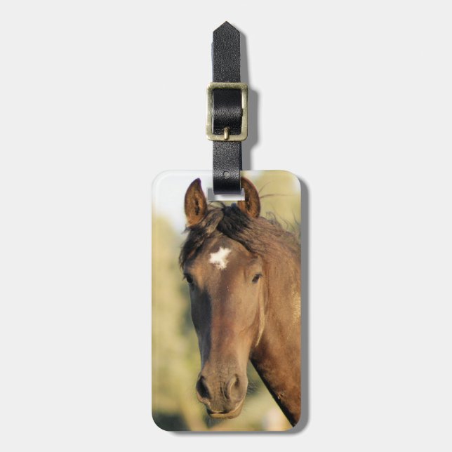 Morgan Horse Luggage Tag (Front Vertical)