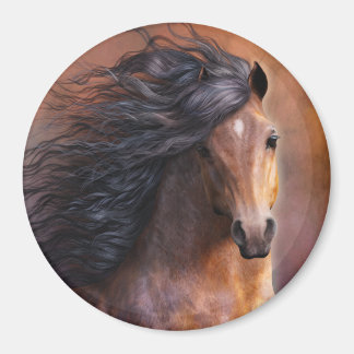 Morgan Horse Magnet