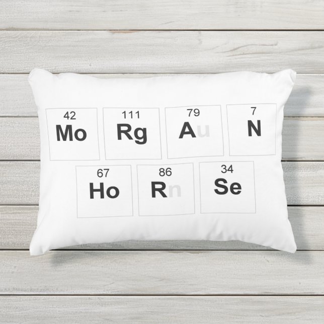 Morgan Horse pillow (Front)