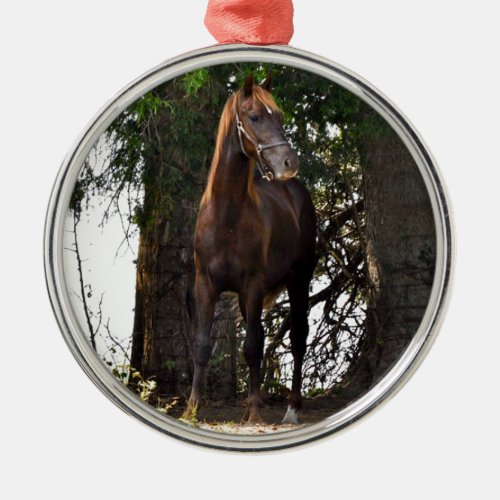 Morgan Horse Products Metal Ornament