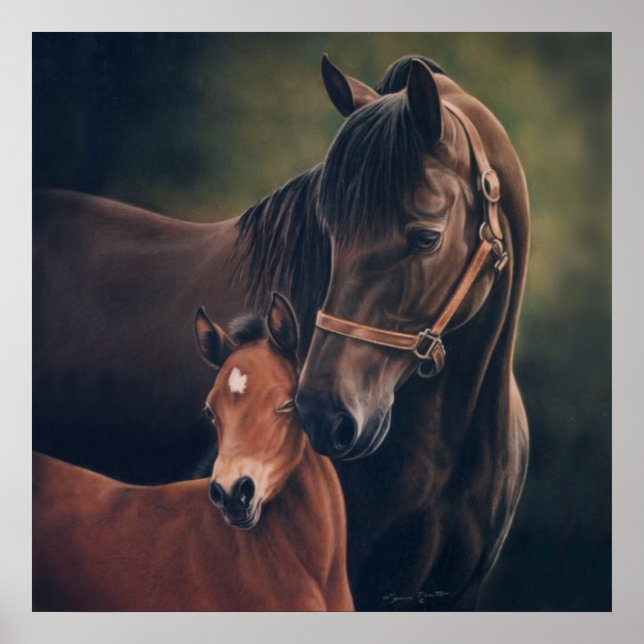 Morgan Mare and Foal by Lynn Peterson Poster (Front)