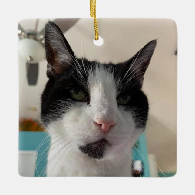 Morgan's Ornament (Front)