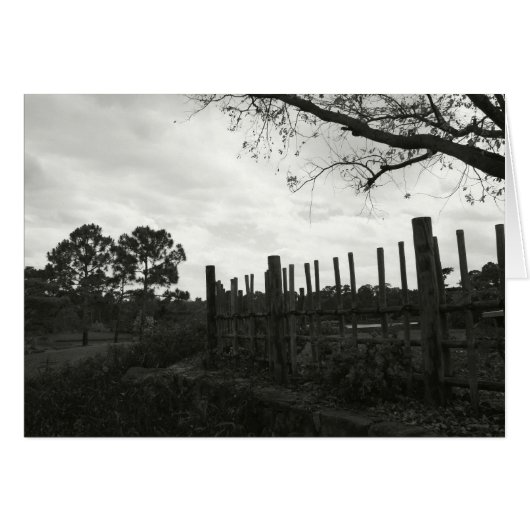 Morikami in Black & White Cards (Front Horizontal)