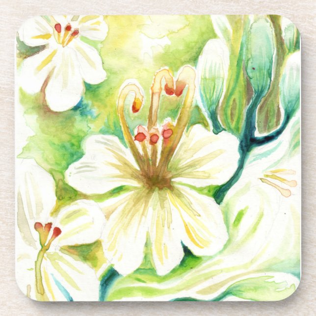 Moringa flowers beverage coaster (Front)