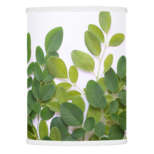 Moringa leaves with text space lampshade