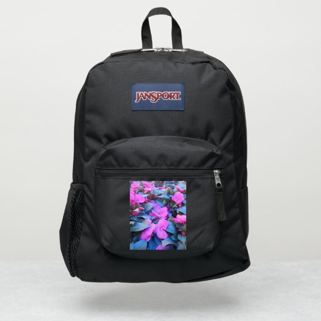 Morisot JanSport Backpack (Front)