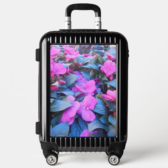 Morisot Luggage (Front)