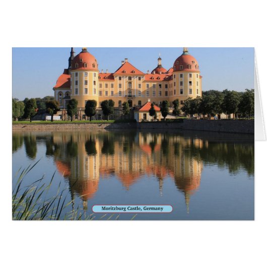 Moritzburg Castle, Germany Cards (Front Horizontal)
