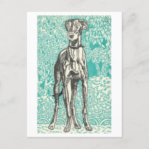 Moriz Jung Greyhound Print Postcard