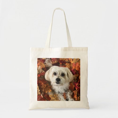 Morkie Autumn Tote Bag