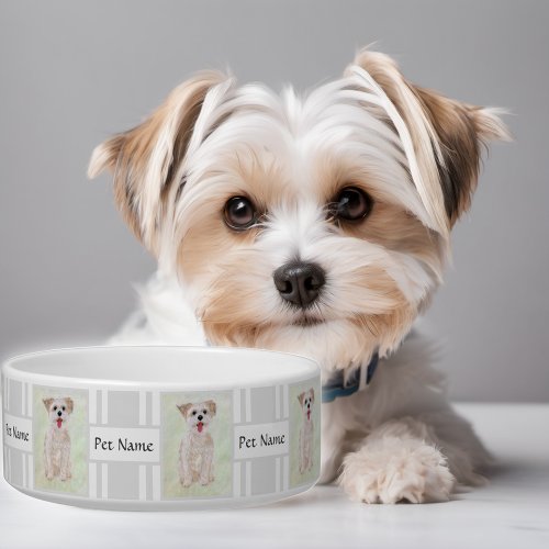 Morkie Dog Bowl With Text Customizable