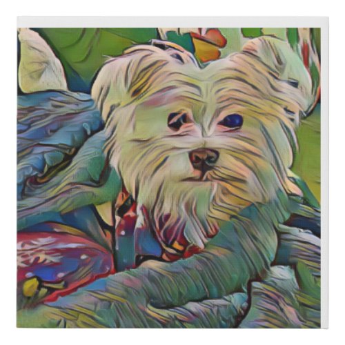 Morkie Dog Canvas Print