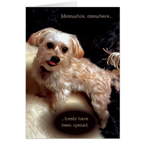 Morkie Dog Cute Funny Meme Puppy Birthday Card