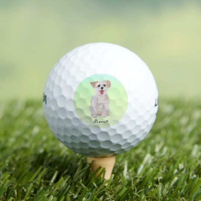 Morkie Dog Golf Balls Supersoft Calleway (Insitu Tee)