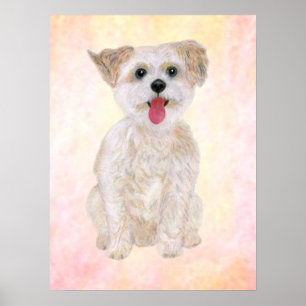 Morkie Dog Print With Colorful Background
