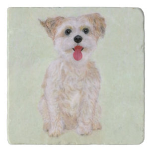 Morkie Dog Trivet
