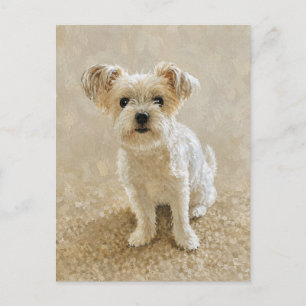 Morkie Love Postcard
