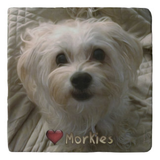 Morkie Puppy Dog Love Cute Marble Stone Trivet