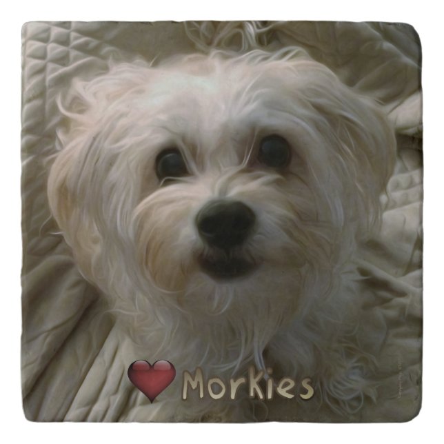 Morkie Puppy Dog Love Cute Marble Stone Trivet (Front)