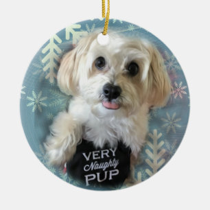 Morkie Dog Christmas Ornaments HOLIDAYS 2024 Zazzle