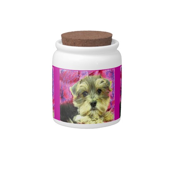 morkie puppy treat jar
