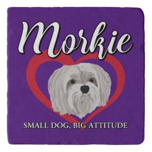 Morkie - Small Dog, Big Attitude - 3 Trivet