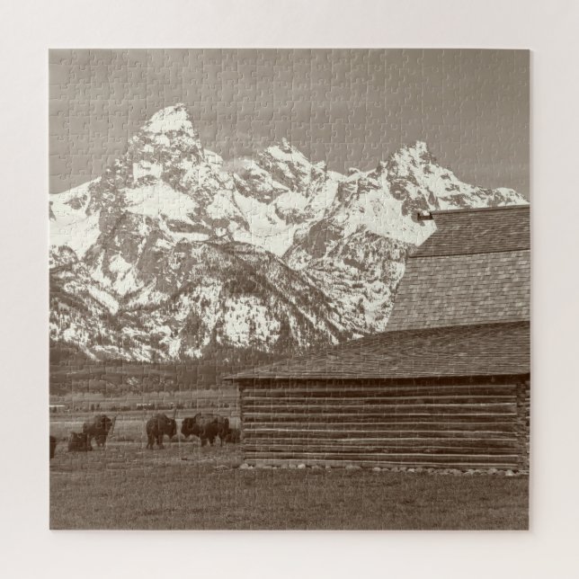 Mormon Row - Grand Tetons - 20x20 - 676 pcs Jigsaw Puzzle (Vertical)