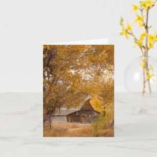 Mormon Row Greeting Card