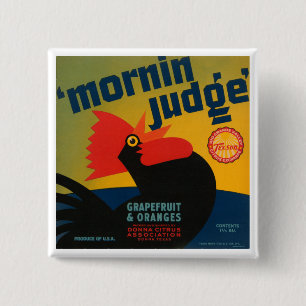 Mornin Judge Grapefruit and Oranges Button