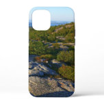 Morning atop Cadillac Mountain at Acadia iPhone 12 Mini Case