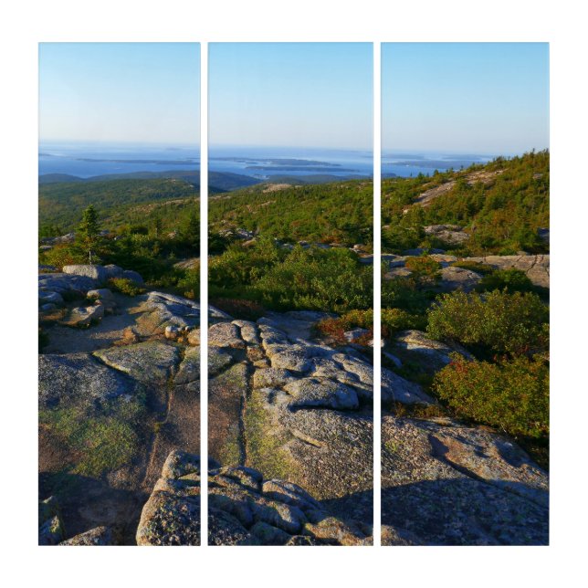 Morning atop Cadillac Mountain at Acadia Triptych (Front)