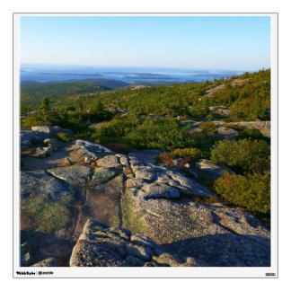 Morning atop Cadillac Mountain at Acadia Wall Decal