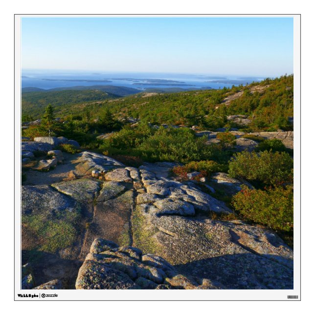 Morning atop Cadillac Mountain at Acadia Wall Decal (Front)
