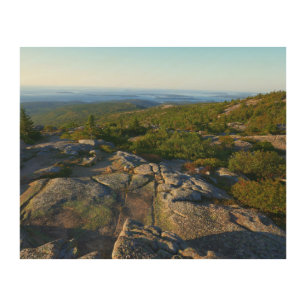 Morning atop Cadillac Mountain at Acadia Wood Wall Art