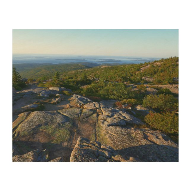 Morning atop Cadillac Mountain at Acadia Wood Wall Art (Front)