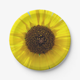 Morning Blaze Paper Plates