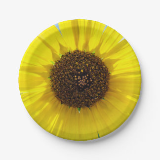 Morning Blaze Paper Plates