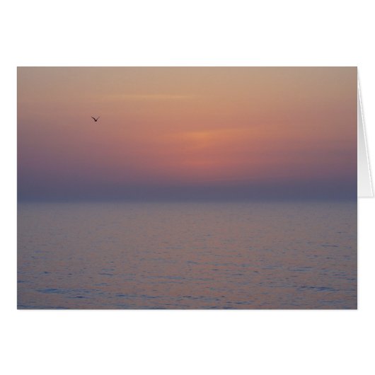 Morning Breaks Cards (Front Horizontal)