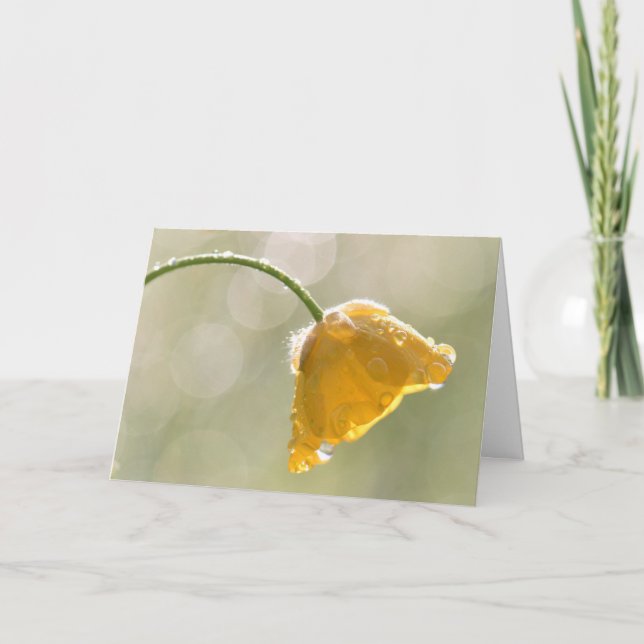 Morning Buttercup Happy Birthday Greeting Card (Front)